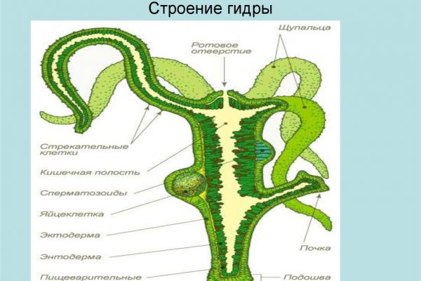 Кракен маркетплейс зеркало krk market com