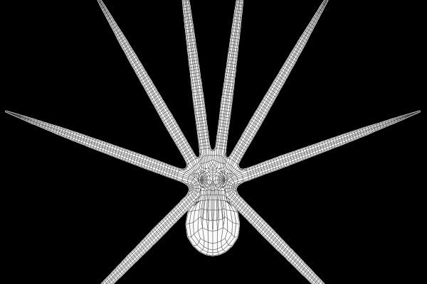 Кракен маркет darknet