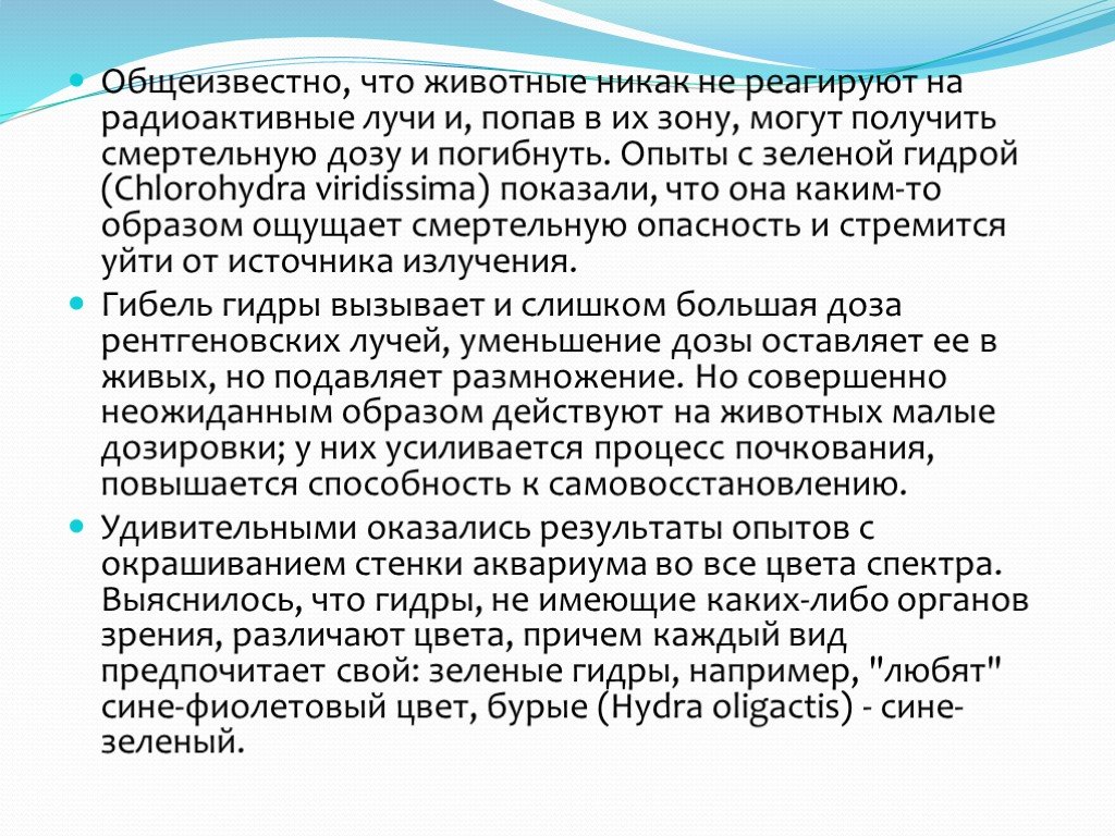 Кракен нарко шоп